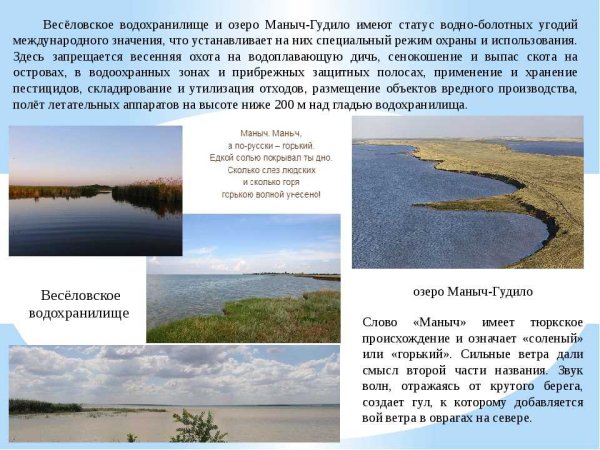 Озере Маныч-Гудило рыба