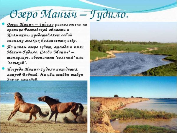 Маныч-Гудило Ростовская область