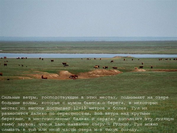 Маныч-Гудило Ростовская область