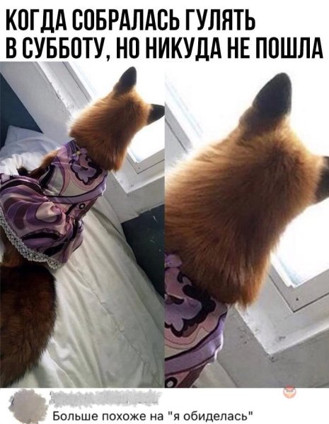 Собралась и никуда не пошла