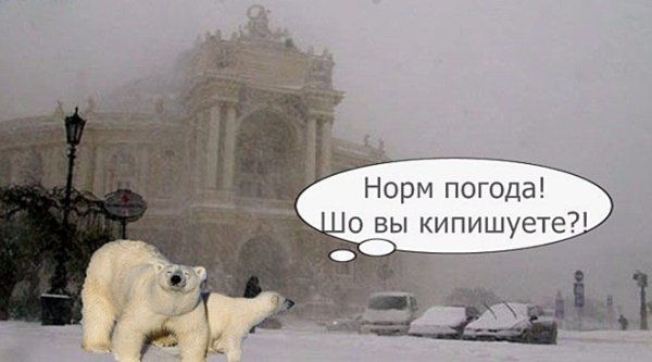 Коротко о погоде зимой прикол