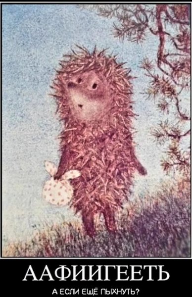 Ёжик в тумане прикол