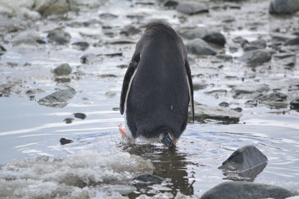 Злые вы уйду от вас