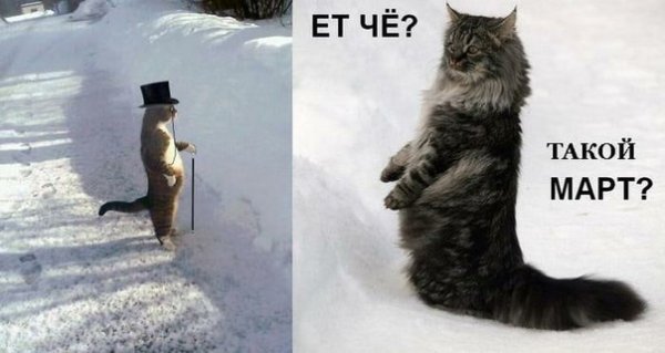 Зима не уходит