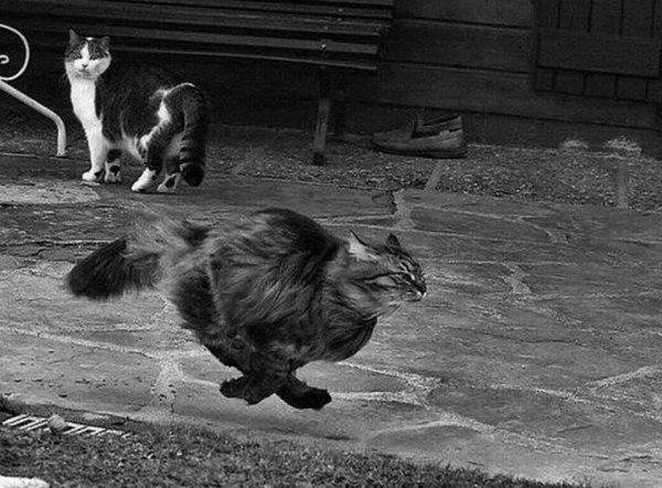 Уход с работы вечером в пятницу