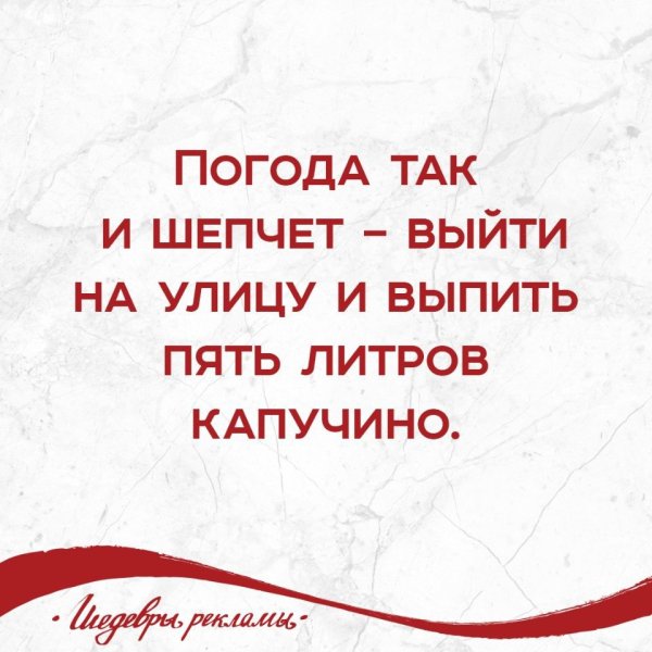 Погода шепчет выпей