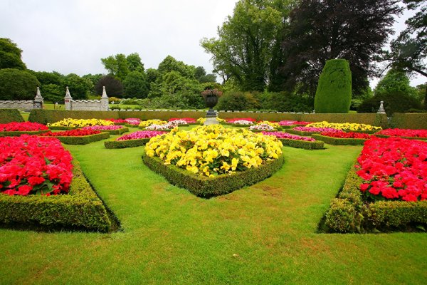 Партер клумба