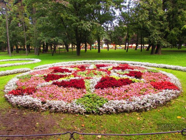 Клумба в летнем саду Питер