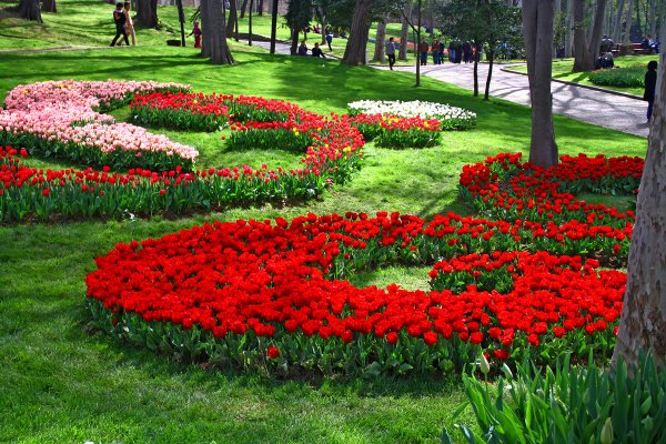 Клумбы в парке