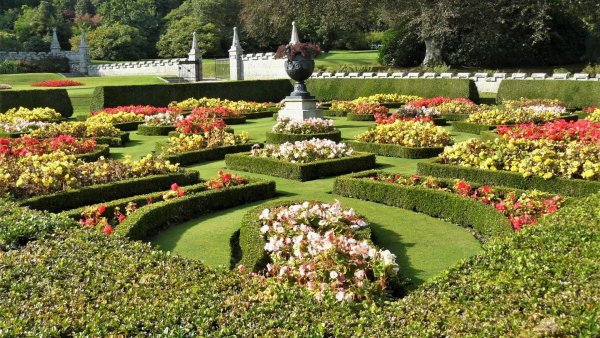 Холланд парк в Лондоне сад ирисов