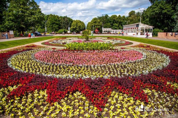 Парк Сокольники цветники