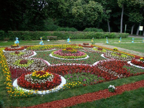 Парк Кузьминки фестиваль цветников