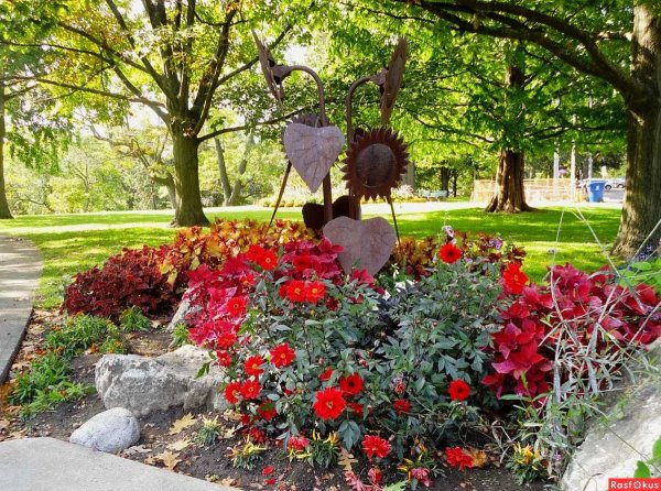 Красивые клумбы в парках