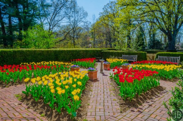 Цветники в парке