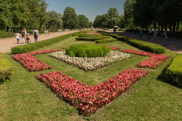 Клумбы парк Победы Санкт Петербург