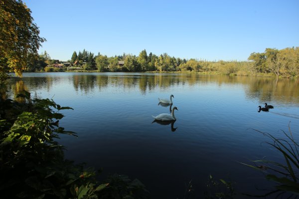 Река Клязьма пруд Рыбхоз