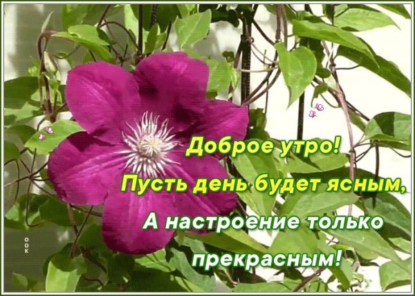 Доброе утро хорошего настроения в любую погоду