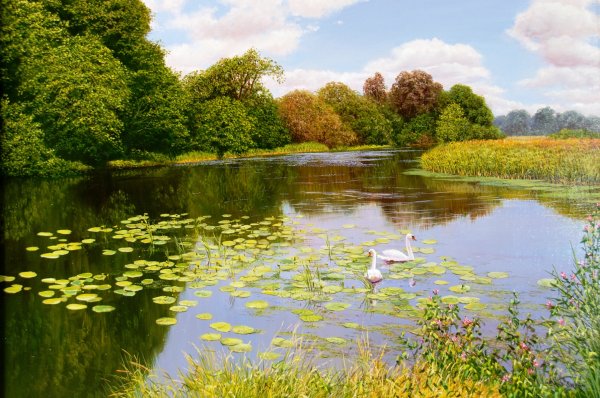 Пейзаж с водоемом