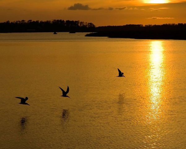 Транс симфония