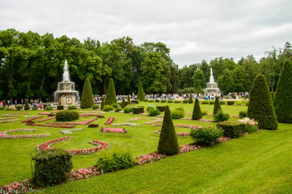 Нижний парк Петергофа, Петергоф