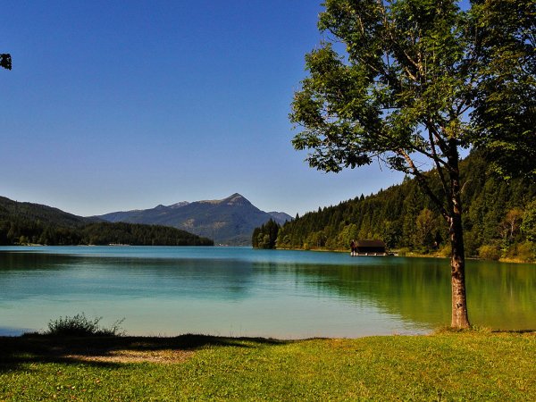 Лесное озеро в Германии