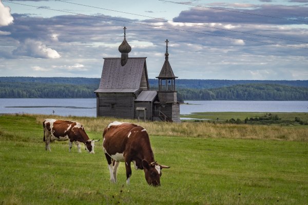 Кенозерский национальный парк