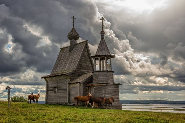 Кенозерский национальный парк в хорошем качестве