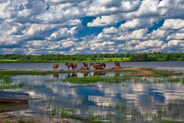 Кенозерье национальный парк