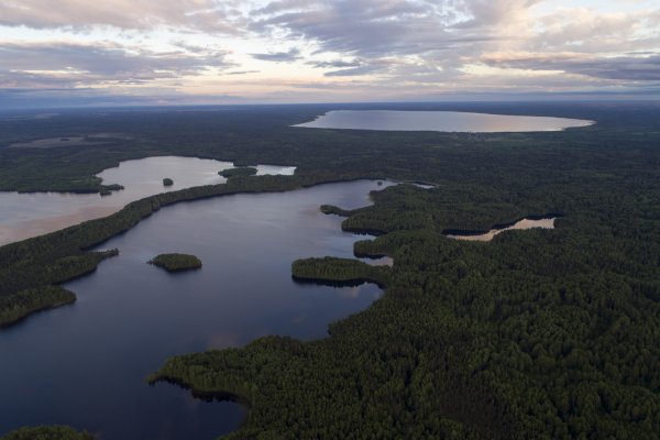 Кенозерский национальный парк озера