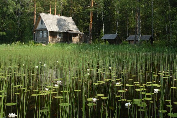 Кенозерский парк болота