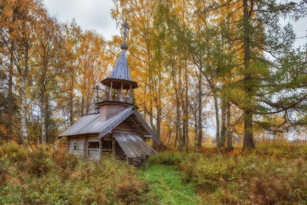 Кенозерский заповедник в Архангельской области