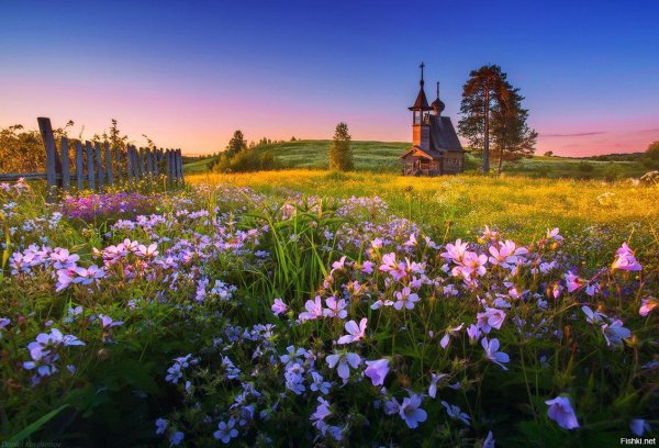 Кенозёрский национальный парк в Архангельской области