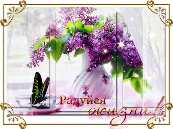 Открытка "радуйся каждому Дню"