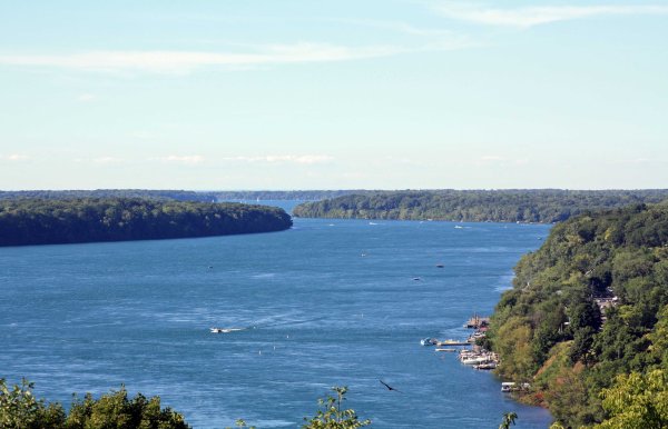 Эри Северной Америки