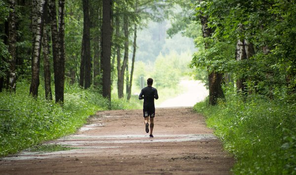 Пробежка по лесу