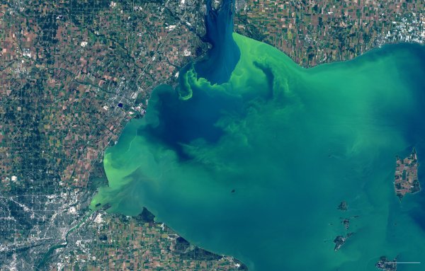 Озеро Эри Канада