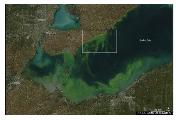 Озеро Эри эвтрофикация