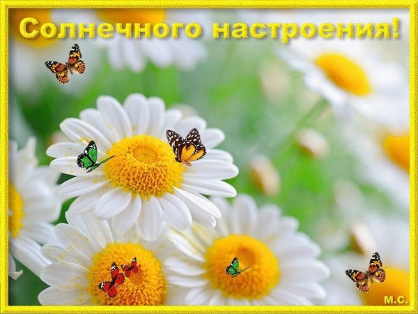 Солнечного настроения на весь день