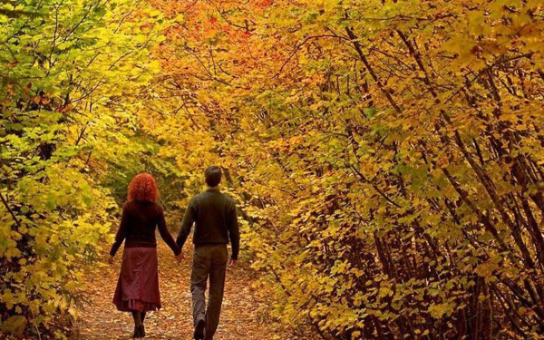 Осень пара в парке