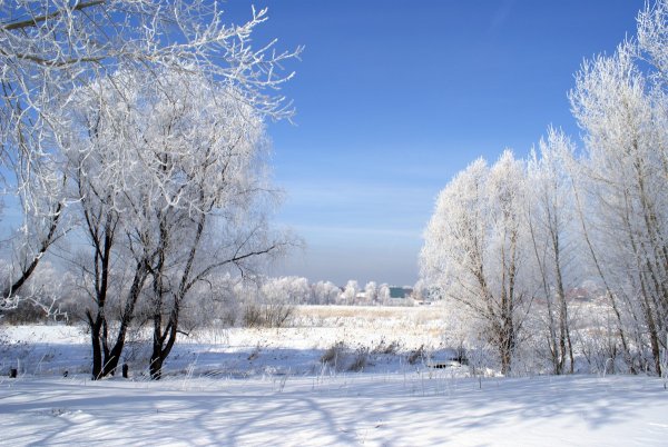 Январь пейзаж