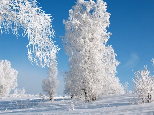 Солнечный зимний день
