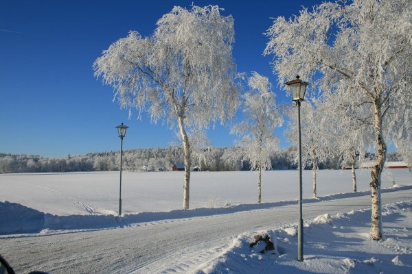 Безветренная зима