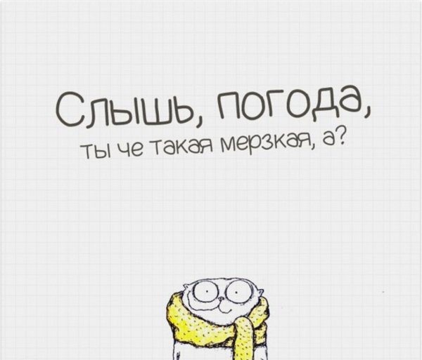 Смешные цитаты про погоду