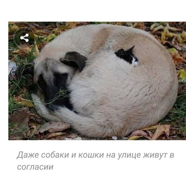 Демотиваторы плохая погода