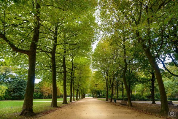 Парк фон Петербург