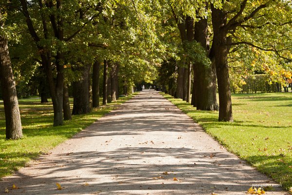 Аллеи города Пушкин