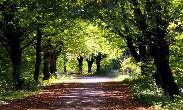 Фермский парк Пушкин