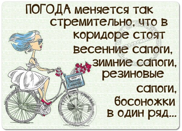 Так быстро меняется погода приколы