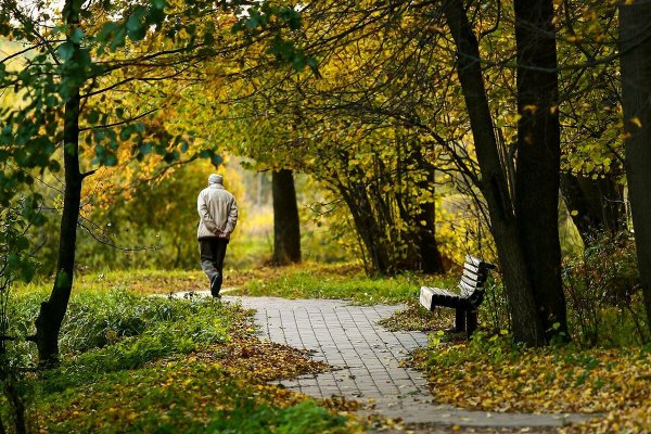 Прогулка в осеннем парке
