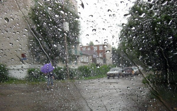Дождь летом в городе